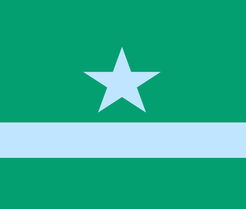 kaw-atx-flag